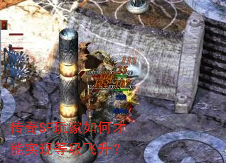����SF�����β���ʵ�ֵȼ�������