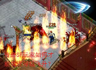 ����SF�����β���ʵ�ֵȼ�������