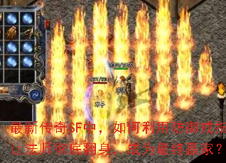 ���´���SF�У�������÷�����ָ�÷�ʦ���׷�������Ϊ����Ӯ�ң�