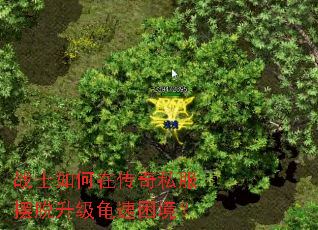 սʿ����ڴ���˽��������������������