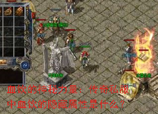 Ѫ������������������˽����Ѫ��������������ʲô��