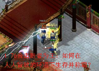 1.76�ϻ�ʤ��Ϊ������������˽ԵеĻ��������沢�ưԣ�