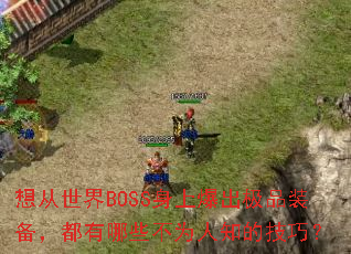�������BOSS���ϱ�����Ʒװ����������Щ��Ϊ��֪�ļ��ɣ�