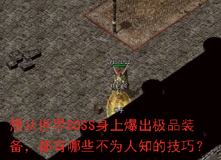 �������BOSS���ϱ�����Ʒװ����������Щ��Ϊ��֪�ļ��ɣ�
