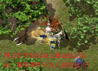 �������BOSS���ϱ�����Ʒװ����������Щ��Ϊ��֪�ļ��ɣ�