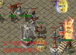 ��ʮ�����Ŵ�����Ҹ��������ʵ����