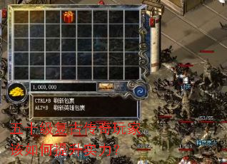 ��ʮ�����Ŵ�����Ҹ��������ʵ����