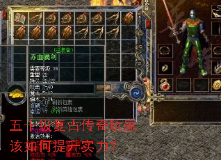 ��ʮ�����Ŵ�����Ҹ��������ʵ����