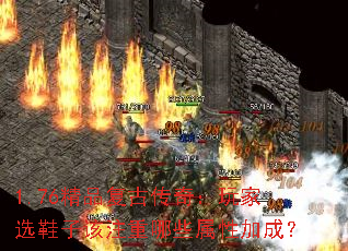 1.76��Ʒ���Ŵ��棺���ѡЬ�Ӹ�ע����Щ���Լӳɣ�