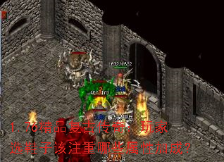 1.76��Ʒ���Ŵ��棺���ѡЬ�Ӹ�ע����Щ���Լӳɣ�