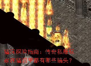 ����̽��ָ�ϣ�����˽������������ﶼ����Щ��ͷ��