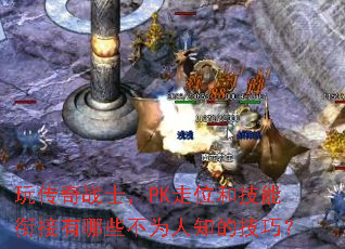 �洫��սʿ��PK��λ�ͼ����ν�����Щ��Ϊ��֪�ļ��ɣ�