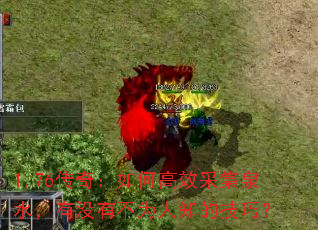 1.76���棺��θ�Ч�ɼ�Ȫˮ����û�в�Ϊ��֪�ļ��ɣ�