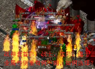 ս�������Σ�սʿ����ʦ����ʿ��ְҵ���Բ����кβ�ͬ�����ѡ��