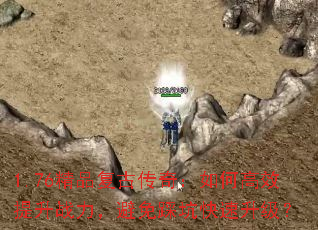 1.76��Ʒ���Ŵ��棺��θ�Ч����ս��������ȿӿ���������