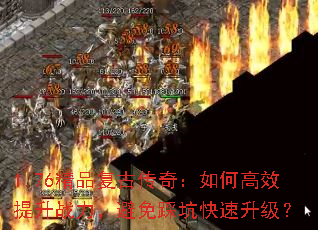 1.76��Ʒ���Ŵ��棺��θ�Ч����ս��������ȿӿ���������