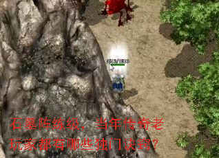 ʯĹ�����������괫������Ҷ�����Щ���ž��ϣ�