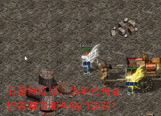 ʯĹ�����������괫������Ҷ�����Щ���ž��ϣ�