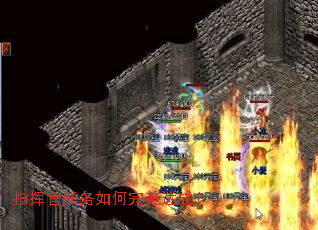 ָ�ӹ��������������ɣ�