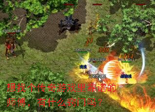 ���Ҹ�������Ϸ�￿�׵�ʦ������ʲô������