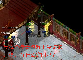 ���Ҹ�������Ϸ�￿�׵�ʦ������ʲô������