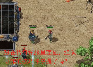���ڴ���˽�����ǿ�����Э���ļ�������������