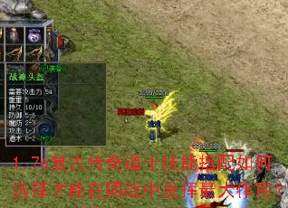 1.76���Ŵ����ʿ���ܴ������ѡ���������ս�з���������ã�