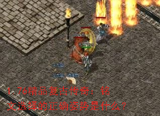 1.76��Ʒ���Ŵ��棺����ѡ�����ȷ������ʲô��