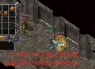 1.76�ƽ�˵�е�ʿְҵӦѡ����Щ�����ָ����ս����