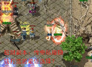 �вƸ���������˽��׬Ǯ�򷨵����ѡ��