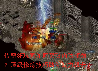 ����SF������ͻ���ڹ�ƿ��������������������ս�������