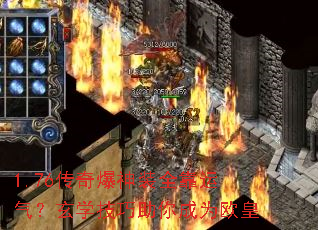 1.76���汬��װȫ����������ѧ���������Ϊŷ��
