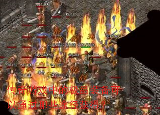 ������Ϸ�еļ�Ʒװ������ͨ����Щ;����ã�
