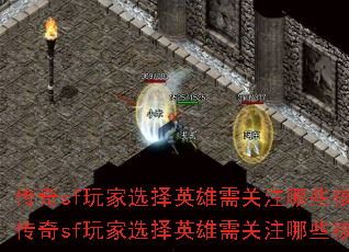 ����sf���ѡ��Ӣ�����ע��Щ�������⣿����sf���ѡ��Ӣ�����ע��Щ�������⣿