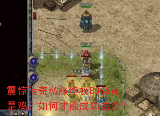 �𾪴���˽���ռ�BOSS���Ǽ�����β��ܳɹ���ɱ��