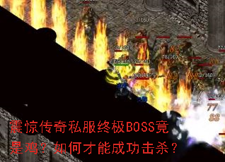 �𾪴���˽���ռ�BOSS���Ǽ�����β��ܳɹ���ɱ��