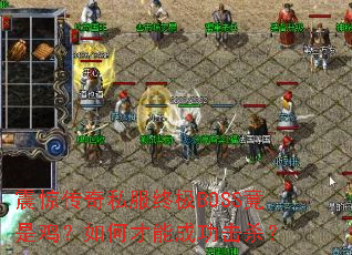 �𾪴���˽���ռ�BOSS���Ǽ�����β��ܳɹ���ɱ��
