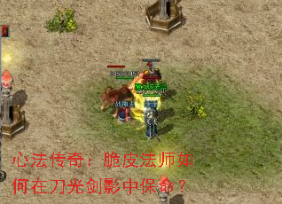 �ķ����棺��Ƥ��ʦ����ڵ��⽣Ӱ�б�����