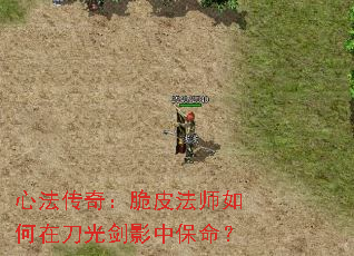 �ķ����棺��Ƥ��ʦ����ڵ��⽣Ӱ�б�����