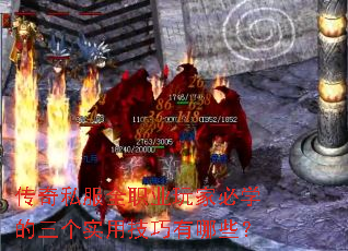 ����˽��ȫְҵ��ұ�ѧ������ʵ�ü�������Щ��