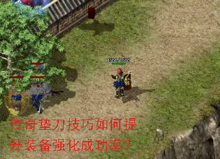 ����浶�����������װ��ǿ���ɹ��ʣ�