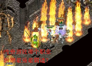 ������Ϸ�ĸ�ְҵ������ǿ��Ե���