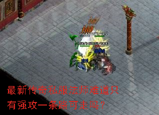 ���´���˽����ʦ�ѵ�ֻ��ǿ��һ��·������