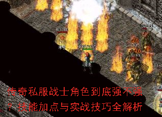 ����˽��սʿ��ɫ����ǿ��ǿ�����ܼӵ���ʵս����ȫ����
