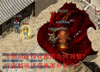 ����˽����Ȩ����Ϊ�ε�������ҵ���ٽ�������ЩӰ�죿