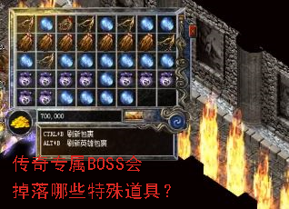 ����ר��BOSS�������Щ������ߣ�