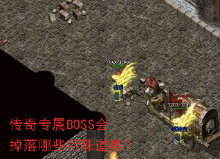 ����ר��BOSS�������Щ������ߣ�