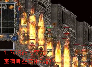 1.76��Ʒ����Ԫ������Щʵ�ù��ܣ�