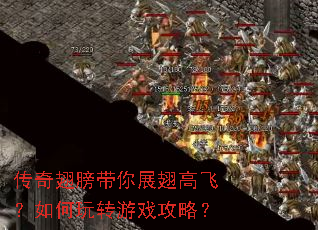 ���������չ��߷ɣ������ת��Ϸ���ԣ�