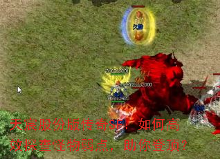 ��巹ɷݰ洫��SF����θ�Ч̽��������㣬����Ƕ���